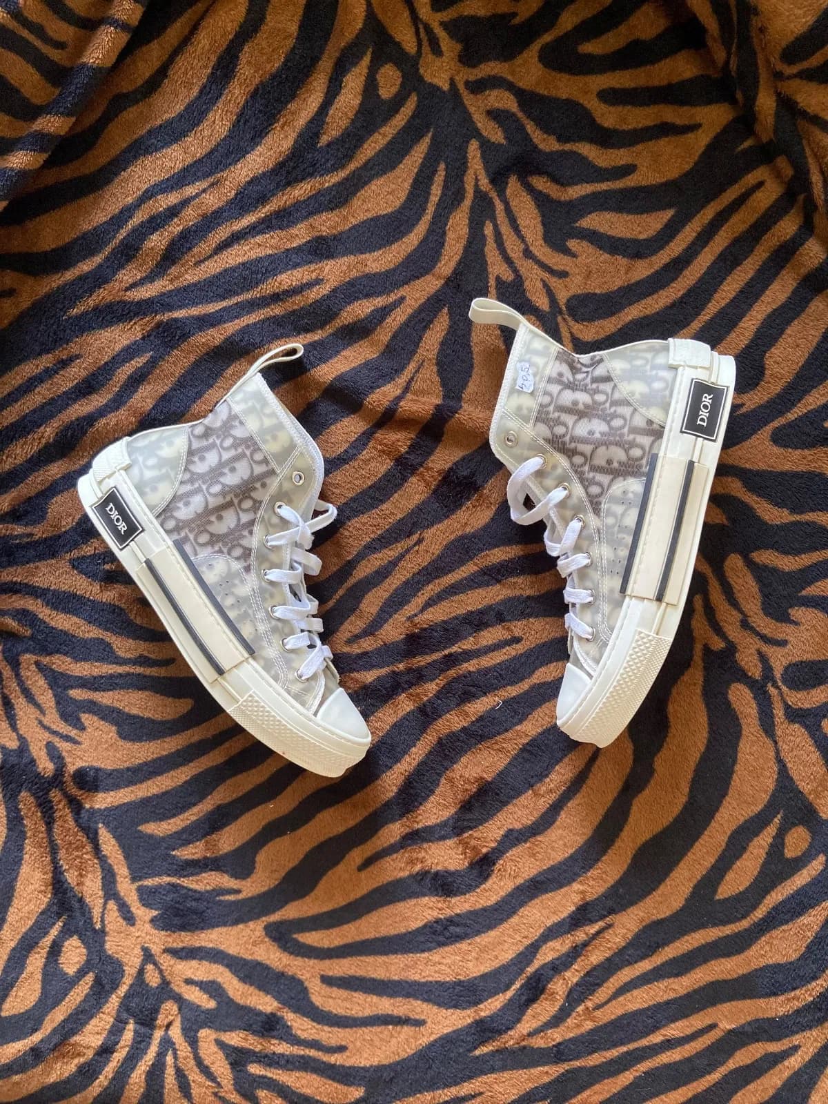 Dior B23 High Top Logo Oblique